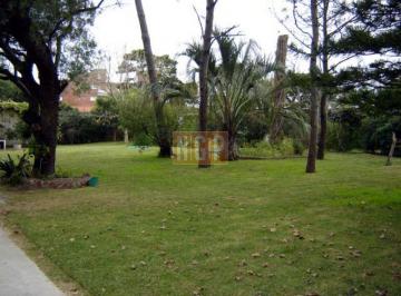 Foto1 · En Aidy Grlll Tierra Apta Para Altura