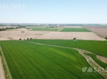 Campo · 750000m² · Campo - La Luisa
