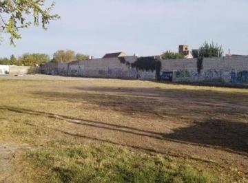 MEM-MEM-228_2 · Lote | Darrieux