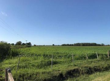 HOG-HOG-503_2 · San Antonio de Areco - 74.60 Has | Campo | Camino del Chorizo