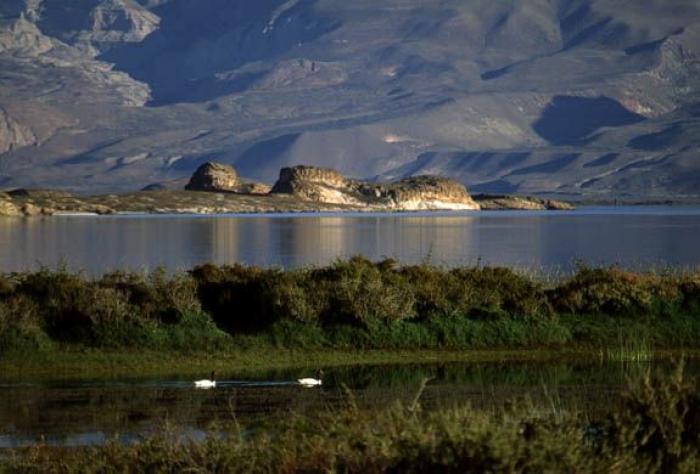 Campo · 1500000ha