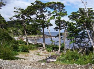 Campo · 10000000ha · Campo - Ushuaia