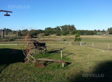 Quinta vacacional · 50000m² · 4 Ambientes · 3 Cocheras · Espectacular Chacra de 5 Ha, con Costa a La Laguna de Los Cisnes, con Embarcadero Propio.