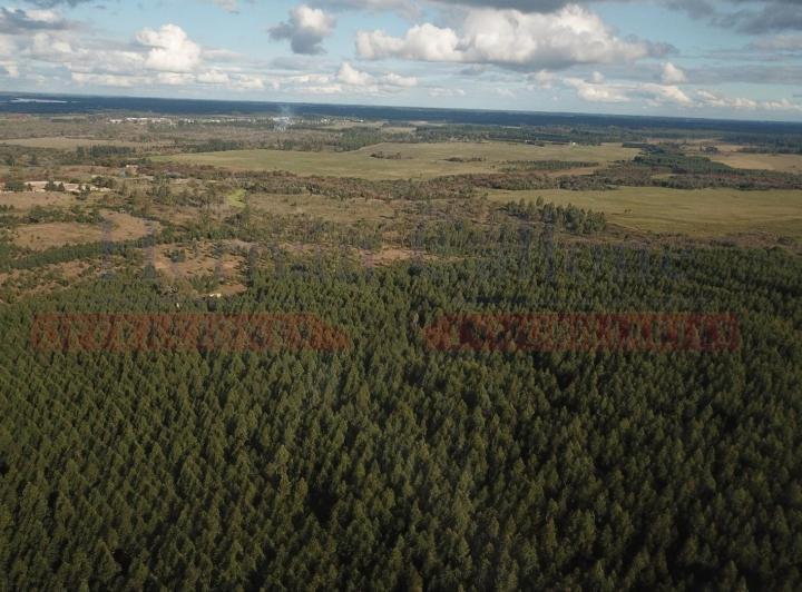 Campo · 56m² · 1 Ambiente
