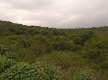 Terreno · 11721m² · Importante Lote Frente a Los Countries Estacion del Carmen y Las Cañitas