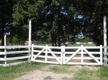 Casa de 4 ambientes, La Plata · Venta de Casas 2 Dorm. en La Plata.