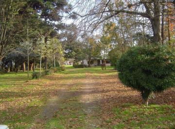 Quinta vacacional · 12m² · Quinta - Parque Florida
