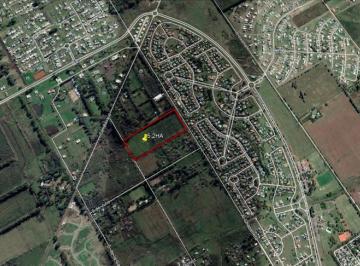 Campo · 52000m² · Campo - Pilar
