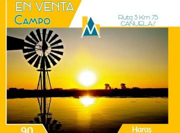 Campo · 500m² · 1 Ambiente · Campo Dedicado a La Cría de Caballos con Grandes Galpones.