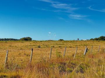 Foto1 · Campo de 48 Has con 5545 m² en Medellin Muy Cerca de Jose Ignacio. Valor 20000 Dolares por Has - con