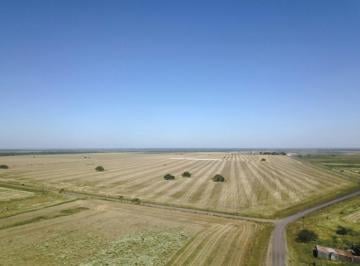 Campo · 15690000m² · Campo - Bovril