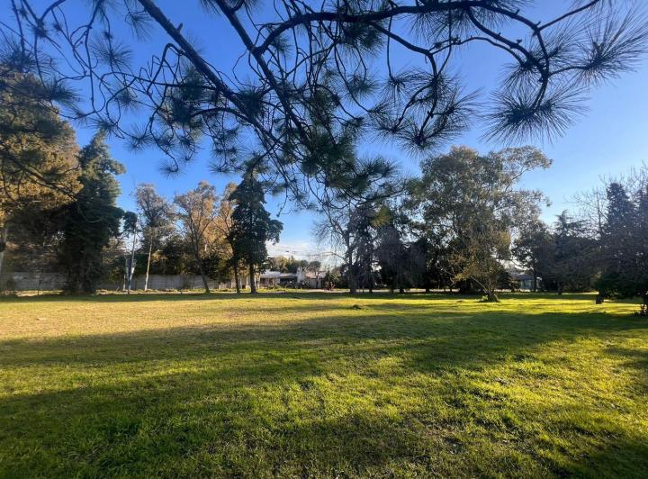 Terreno · 329m² · 1 Ambiente