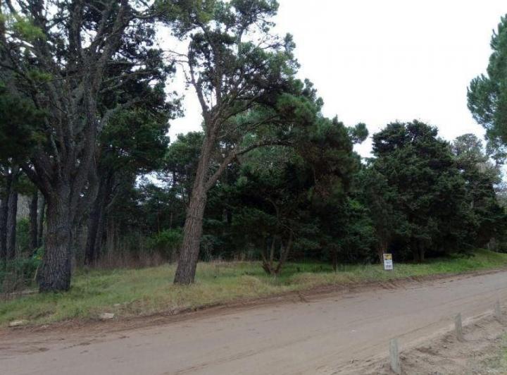 Terreno · 983m²