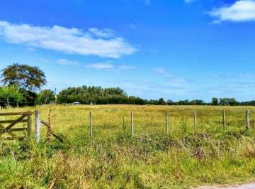 Terreno · Gran Oportunidad de Venta de Campo Para Feedlot