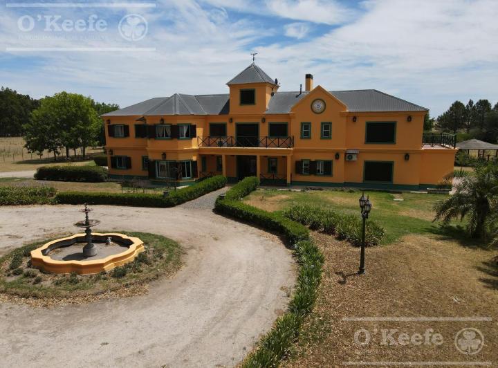 Campo · 600m² · 8 Ambientes