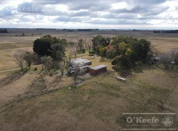 Campo · 500m² · 4 Ambientes · 100 Has en Venta Punta Indio - Excelente Acceso - Ideal Haras!