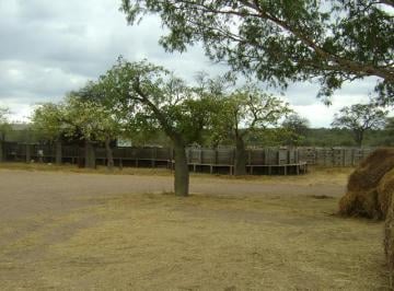 Foto · Quilino, Campo Ganadero con Instalaciones, 2700 Ha