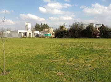 Terreno · 1m² · 3 Lotes de Terreno en Cañuelas Centros