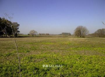 Campo · 130000m² · Chacra - Capilla del Señor