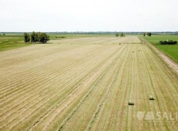Campo · 1950000m² · Campo - Baradero