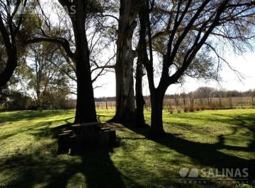 Campo · 50000m² · Chacra - Solis