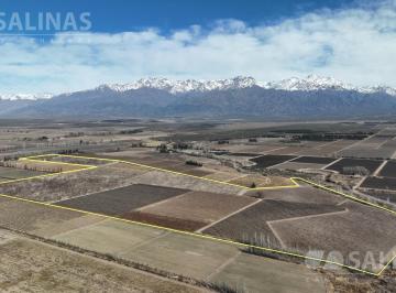 Campo · 390000m² · Fincas - Vista Flores