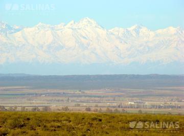 Campo · 1500000m² · Fincas - Agrelo
