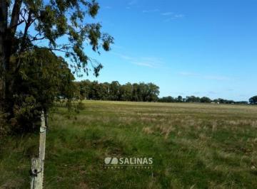 Campo · 42000000m² · Campo - Centro
