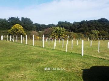 Campo · 1060000m² · Campo - Mar Chiquita
