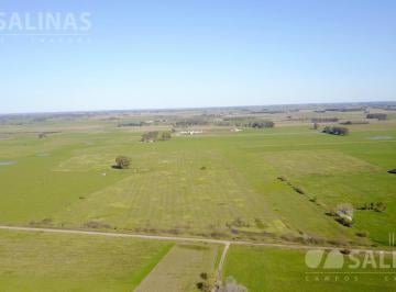 Campo · 300000m² · Chacra - Lujan