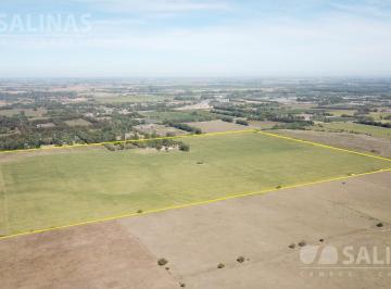 Campo · 900000m² · Campo - Parada Robles