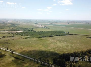 Campo · 280000m² · Chacra - San Antonio de Areco
