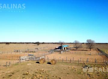 Campo · 55000000m² · Campo - Union