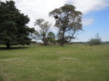 Campo · 80m² · Campo en Venta, Villaguay, Entre Ríos
