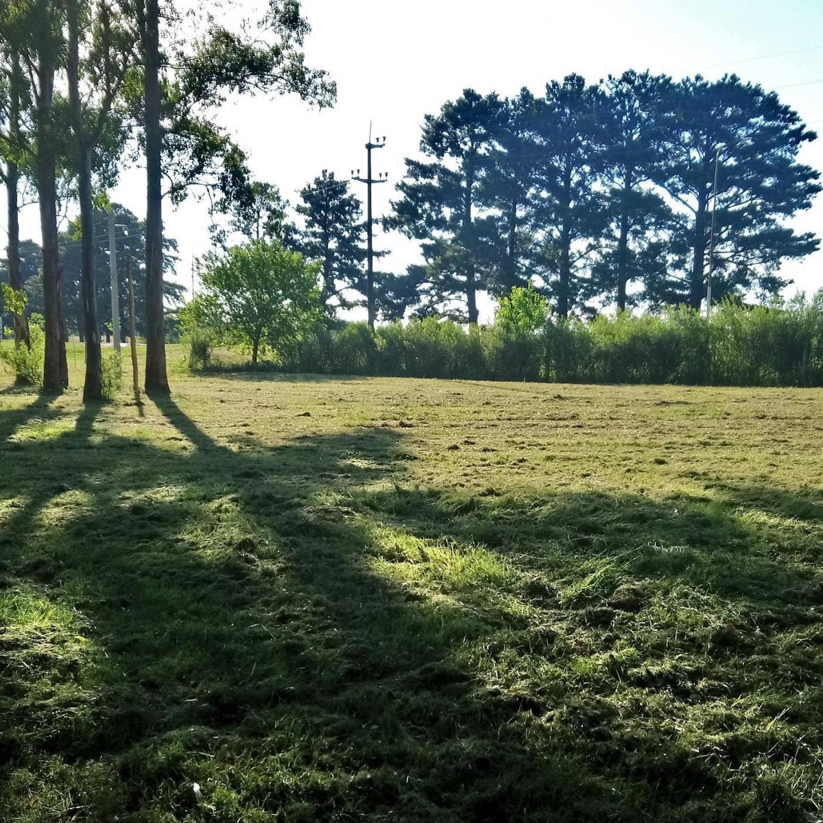 Andino, El Bosque, Pueblo Andino
