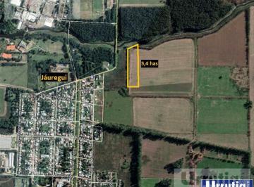 Campo · 34000m² · Campo - Jauregui Jose Maria