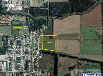 Terreno · 100000m² · Campo - Jauregui Jose Maria