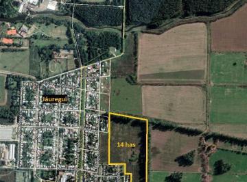 Campo · 140000m² · Campo - Jauregui Jose Maria