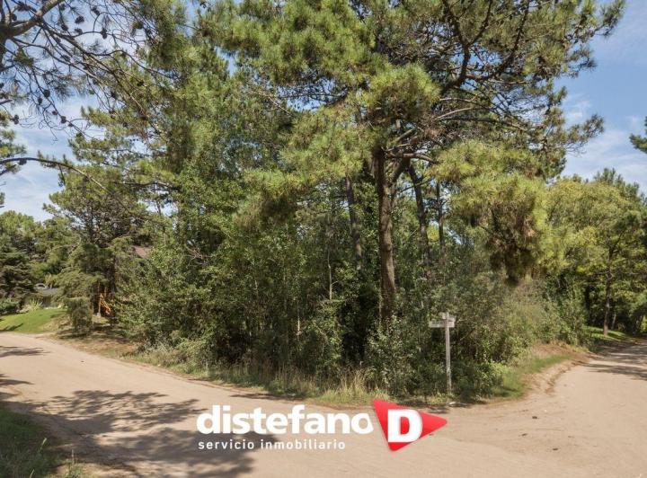 Terreno · 959m²