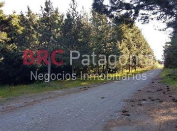 Terreno · 20000m² · Terreno Bariloche