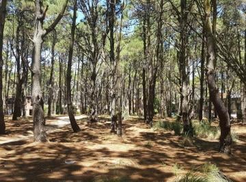 Terreno , Costa del Este · Lote en Venta en Costa del Este