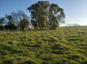 Campo de 3 ambientes, Mar del Plata · Campo 4,2 Hectáreas