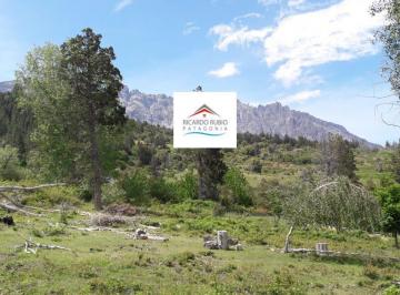 Campo · 5022m² · Chacra - Cerro Amigo