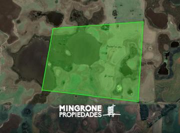 Campo , General Juan Madariaga · Campo a La Venta en General Madariaga