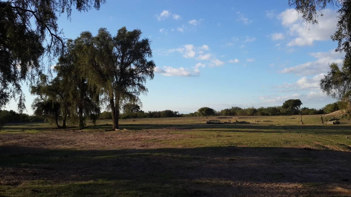 Ruta 3 km ,  Zanjitas, San Luis