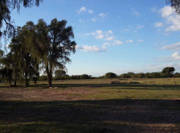 Campo , Zanjitas · Campo Mixto en Venta - San Luis - Zanjitas