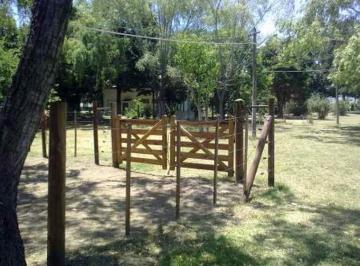 Campo · Estancia &amp;quotla Zulema&amp;quot.