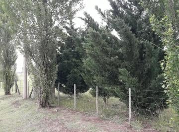 Terreno , San Miguel del Monte · Chacras de Abbott - Amplio Lote en Inmejorable Ubicación y Excelente Vista