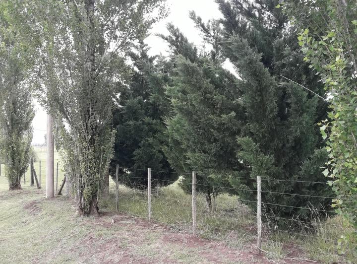 Terreno · 9100m²