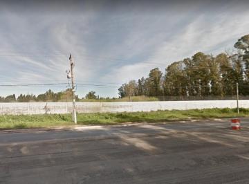 Terreno , Pilar · Deposito Logistico - 50.000 m²